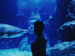 -暹罗海洋世界