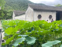 -兰亭风景区
