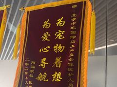 -中农国际动物医院24小时·猫科·骨科·急重症中心