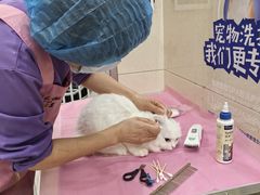 -北京观赏动物医院·24小时大型综合·猫专科·异宠专科