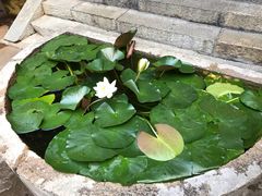 -石屏会馆