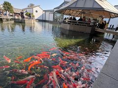 -万福兴(齐门路店)