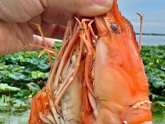 -七的湖·晚芳亭·阳澄湖农家菜·大闸蟹(莲花岛店)