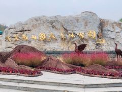 -北京西山国家森林公园