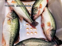 -盛福小关菜市场