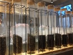 -喜茶(上海兴业太古汇店)