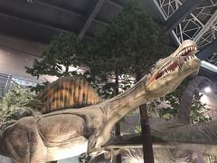 -湖南省地质博物馆