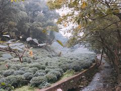 -法云古村