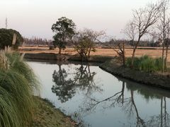 -嘉北郊野公园