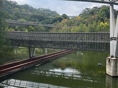 -福道