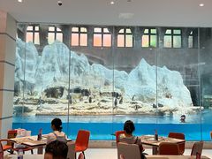 -帝企鹅自助餐厅•儿童岛•真企鹅(长隆企鹅酒店)