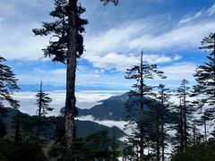 -瓦屋山景区