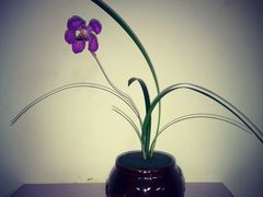 -荷兰布尔玛国际花艺学院