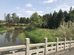 -东平国家森林公园