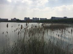 -南开大学滨海学院