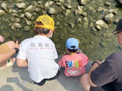 -南翔镇银翔湖公园