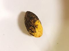 -南市食品街
