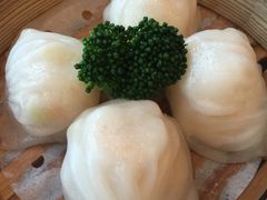 虾饺皇-凯逸轩·匠心粤菜(中城名仕汇店)