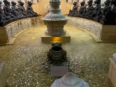 -乐山乌木文化博览苑