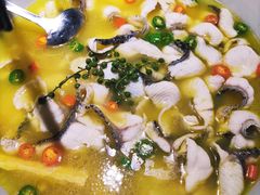 -青花椒花椒鱼(合生汇店)