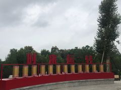 -奔跑吧乐园