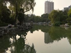 -西苑公园