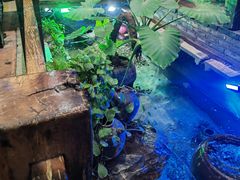-大水车公馆·顺德菜·妈姐菜(均安店)