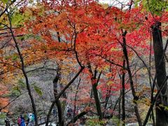 -本溪老边沟风景区