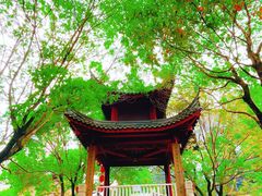 -龙潭水乡