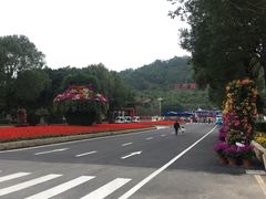 -东南花都花博园