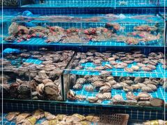 水产区-渔人湾码头海鲜市场负二楼