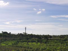 -侯臣咖啡文化村