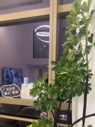 -JNK皮肤管理中心