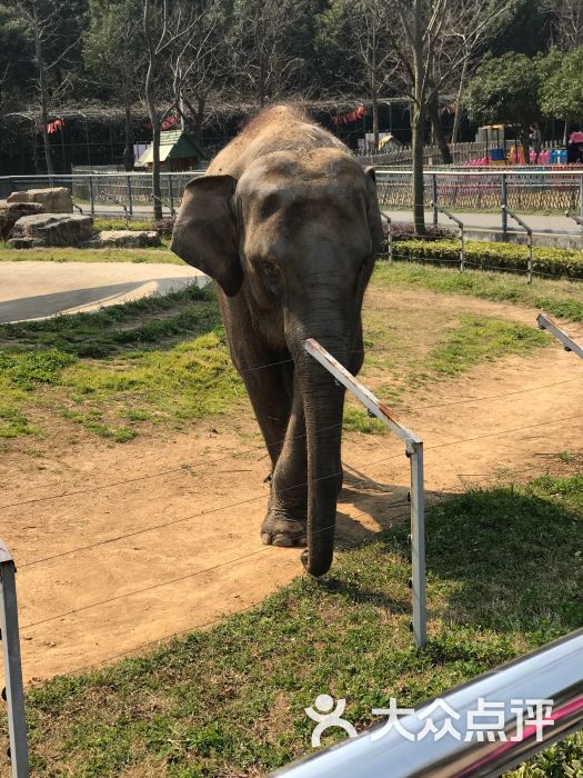 無錫動物園·太湖歡樂園圖片 - 第1張