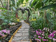 -中国科学院西双版纳热带植物园