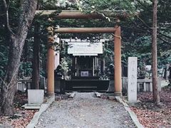 -秋叶原电器街