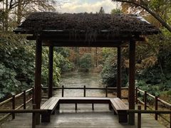 -上海滨江森林公园