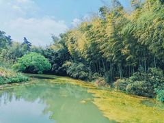 -杭州植物园