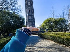 -上海佘山国家森林公园天马山园