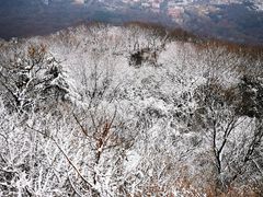 -紫金山山顶公园