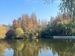 -上海滨江森林公园