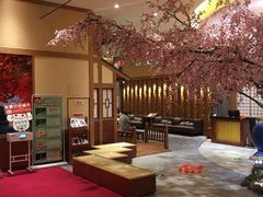 -大江户·温泉洗浴(浑南店)