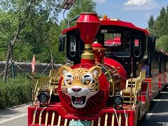 -鄂尔多斯野生动物园