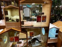 -屋虎猫馆(宝安大仟里店)