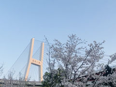 -南浦大桥长途旅游客运站
