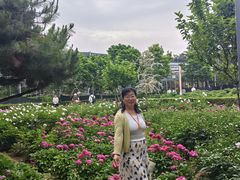 -洛阳市隋唐城遗址植物园
