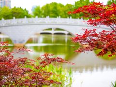 -大连植物园