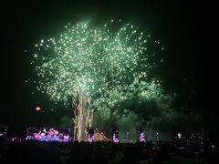 -泰达航母主题公园