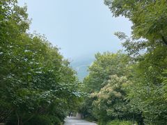 -佛慧山