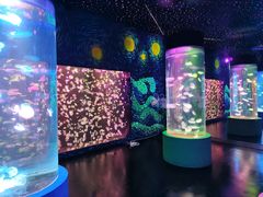-顺德南宏海立方海洋公园